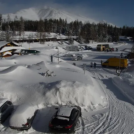 - Crocus 219 Strbske Pleso