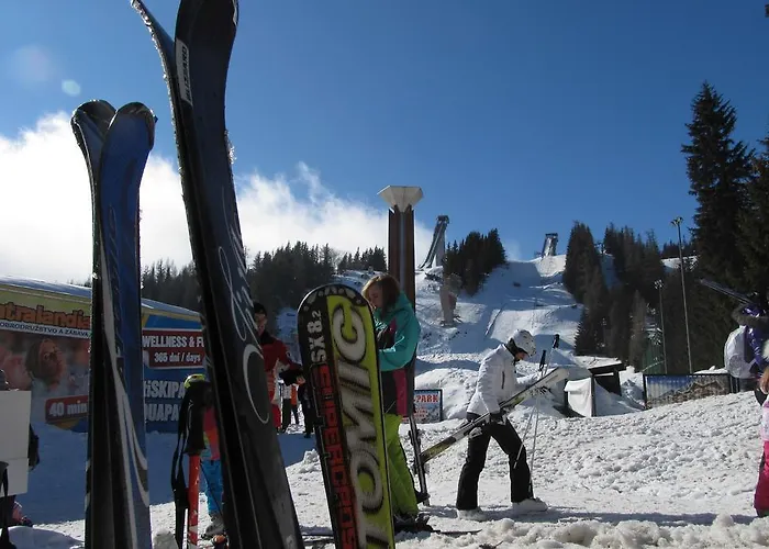 Lejlighed - Crocus 219 *