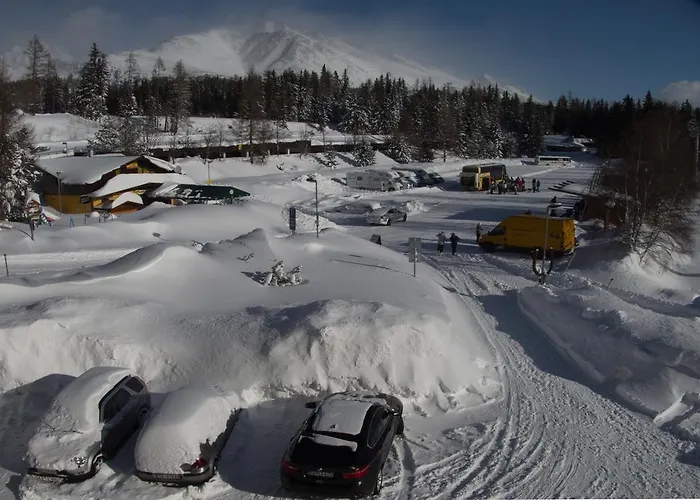 - Crocus 219 Štrbské Pleso