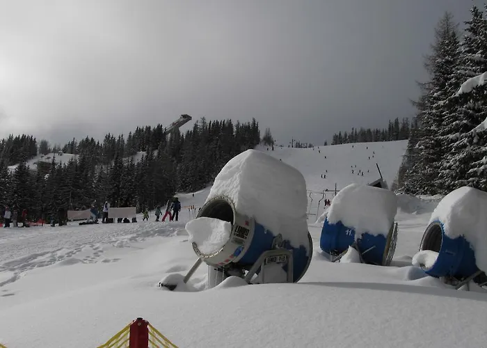 - Crocus 219 Lejlighed