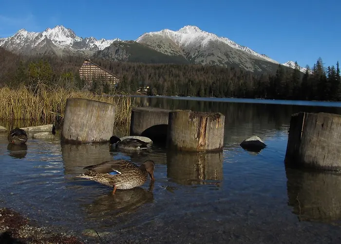 Lejlighed - Crocus 219 *